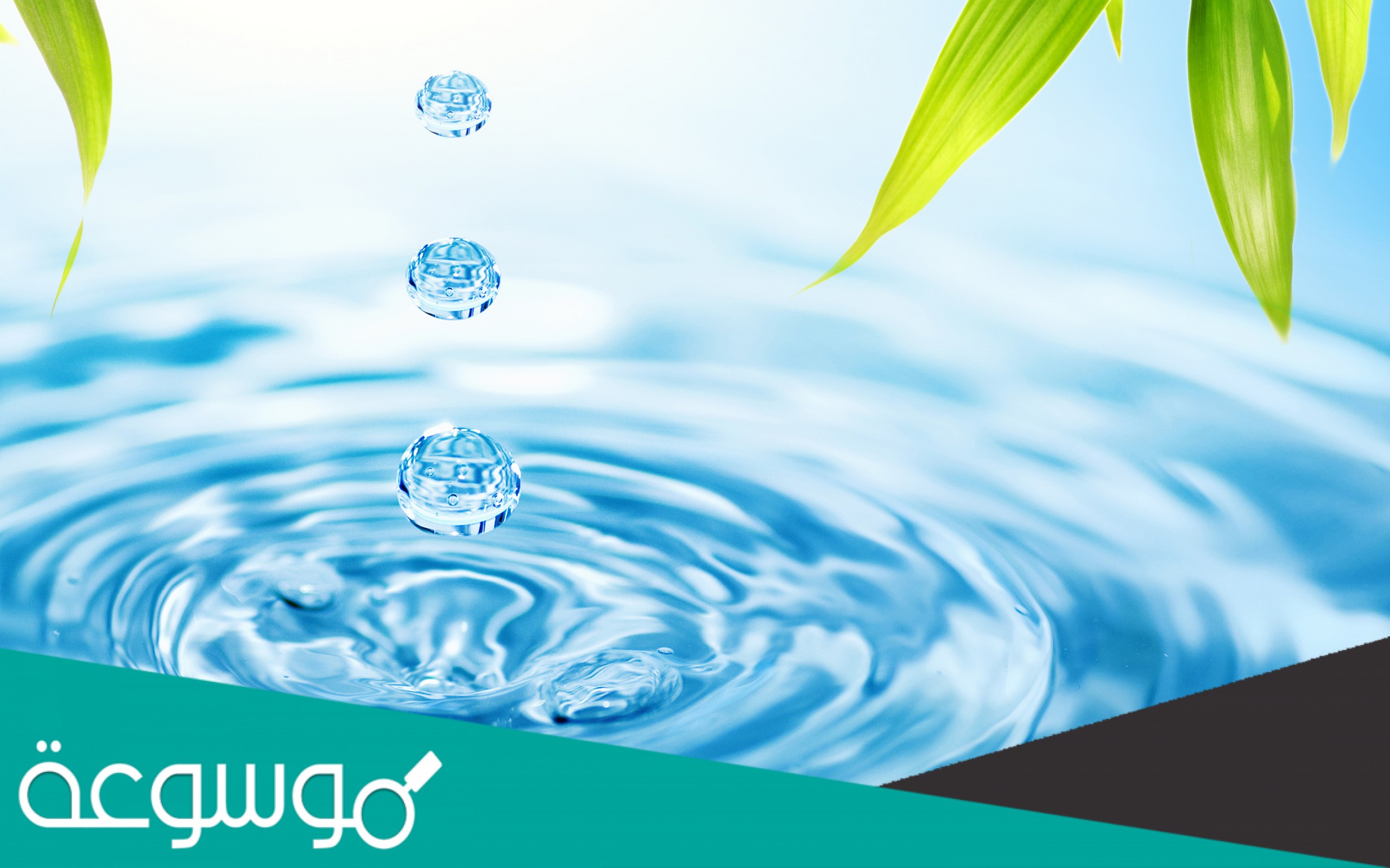 يتكون جزيء الماء من