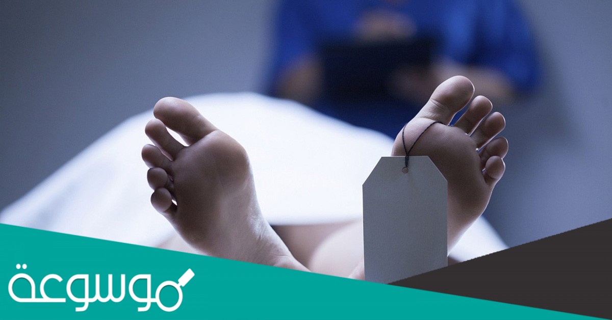 اسباب مقتل نوف السويط