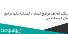 يمكنك تعريف برامج الجداول الحسابية بأنها برامج تمّكن المستخدم من