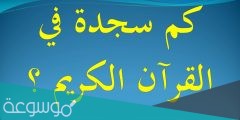 ما هو عدد السجدات في القرآن الكريم
