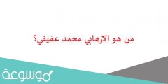 من هو الارهابي محمد عفيفي؟