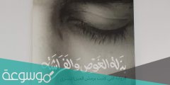 رواية بذلة الغوص والفراشة pdf