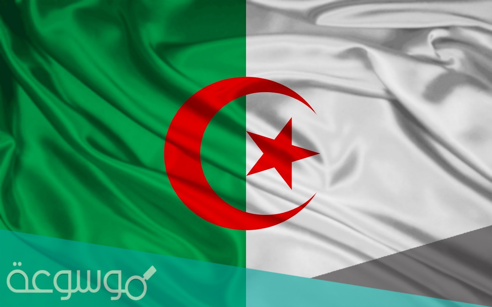 من الفنان المصري الذي لحن النشيد الوطني الجزائري