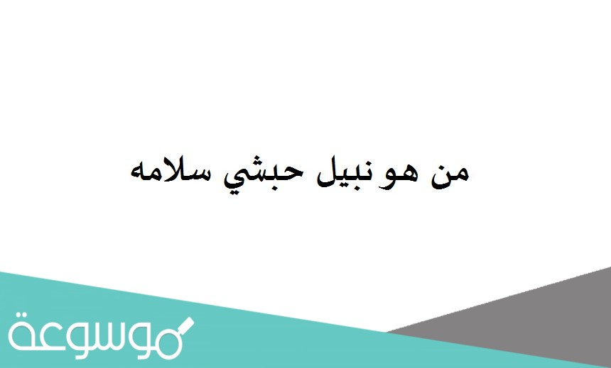 من هو نبيل حبشي سلامه