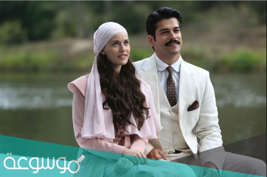 قصة مسلسل طائر الحب