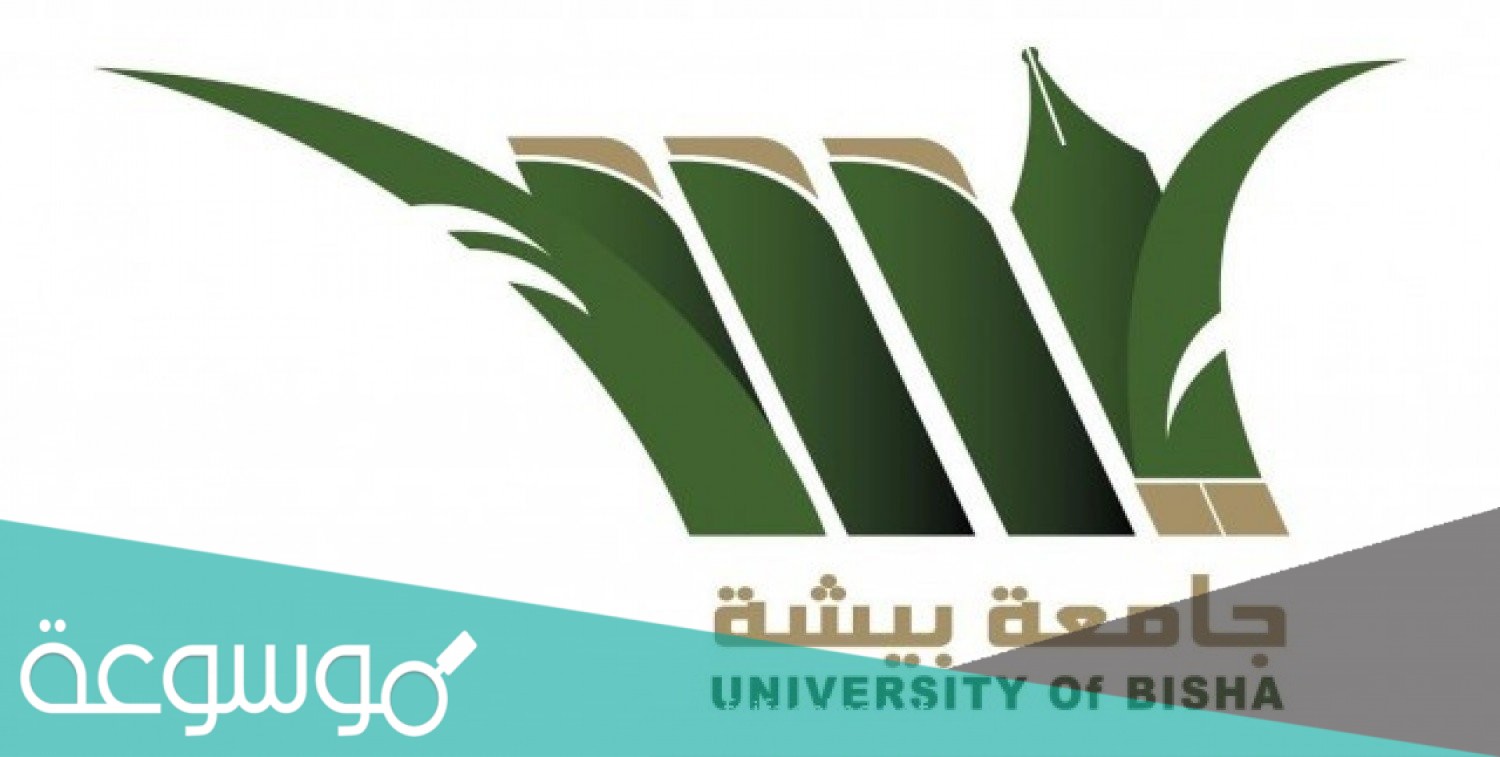 بلاك بورد جامعة بيشة تسجيل الدخول