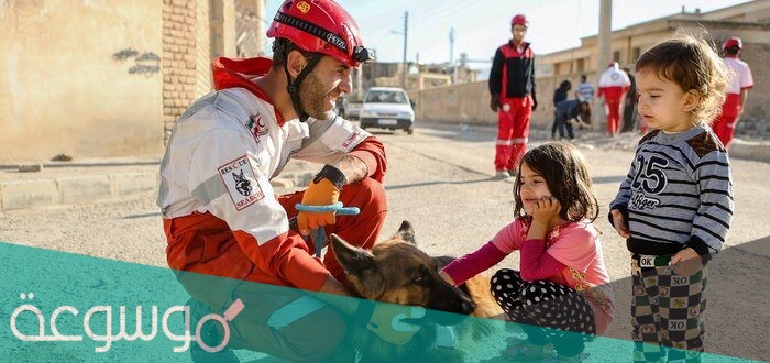 قصة عن حيوان انقذ انسان