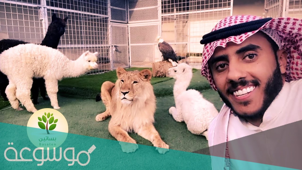 من هو اسامة الدغيري ويكيبيديا
