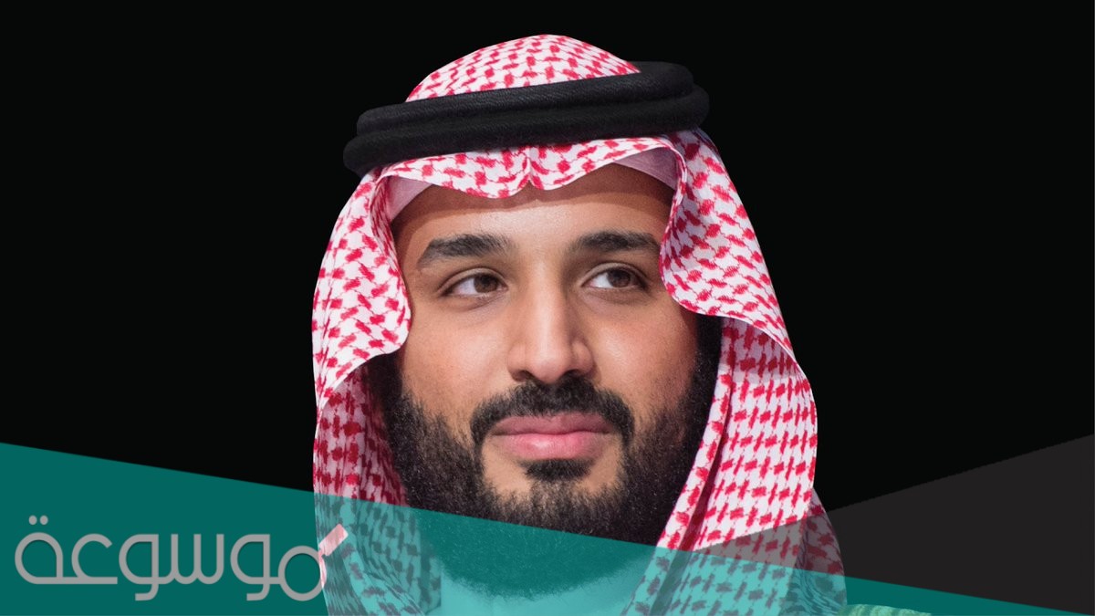 ما هو برنامج شريك السعودية