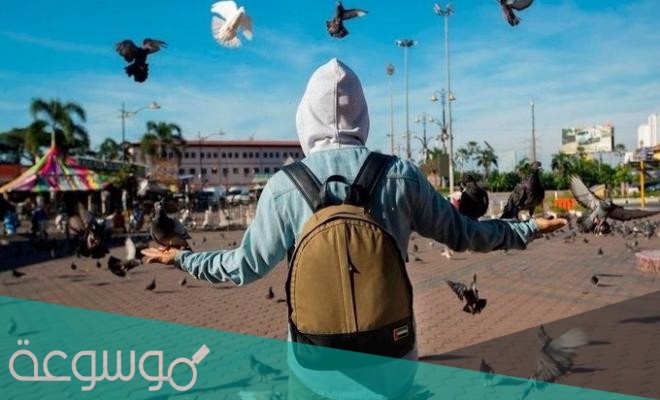 توقيت عرض برنامج قلبي اطمأن على mbc الموسم الرابع رمضان 2021