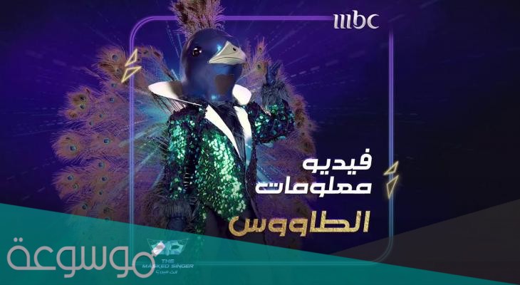 الطاووس في برنامج انت مين