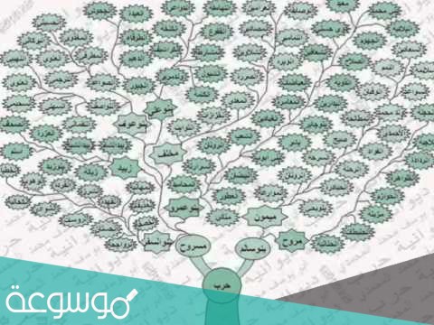 الردادي وش يرجع