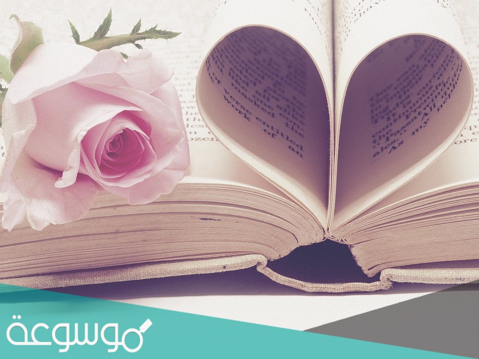 تحميل رواية وردتي حمزة وورد