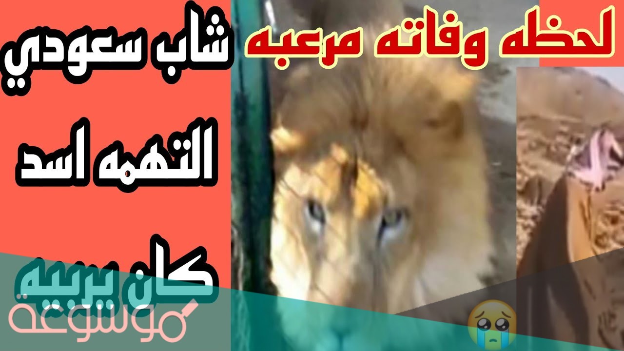 من هو الشاب الذي قتله الاسد في السعودية