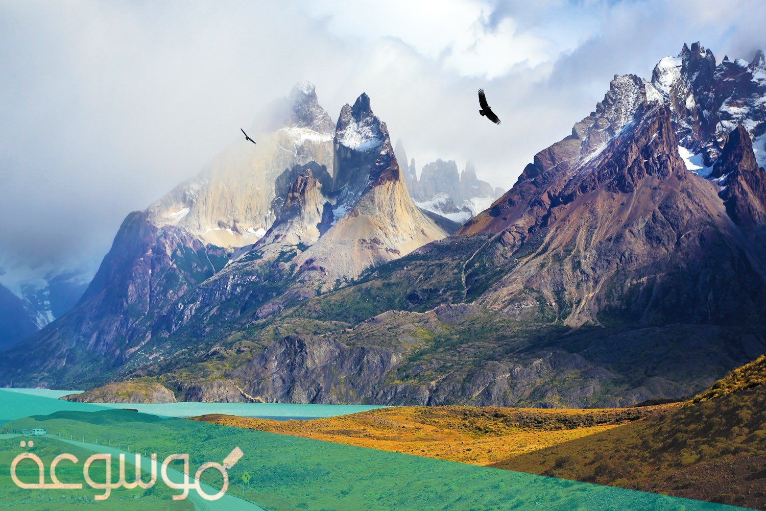 ما هي أطول سلسلة جبال في العالم