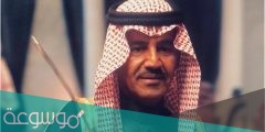 أبطال مسلسل ضرب الرمل ويكيبيديا
