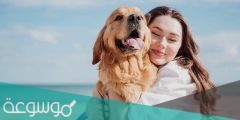 احلى عبارات عن وفاء الكلاب جميلة 2022