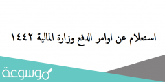 استعلام عن اوامر الدفع وزارة المالية 1442