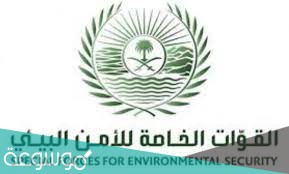 التسجيل في الأمن البيئي