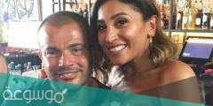 علاقة دينا الشربيني في الفنان عمرو دياب