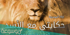 تحميل رواية حكايتي مع الأسد الفصل السادس عشر
