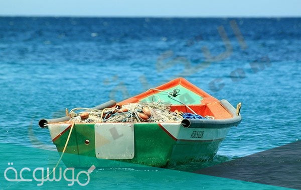 تفسير حلم رؤية القارب