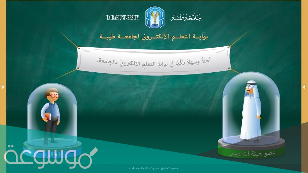 جامعة طيبة بلاك بورد تسجيل دخول