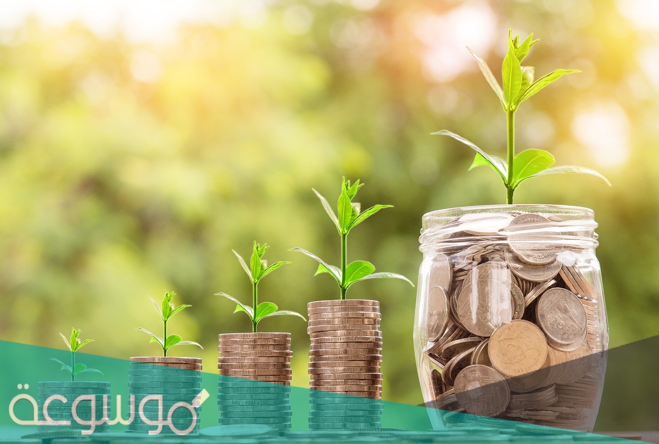 رابط استعلام عن مستحقات الزكاة والدخل