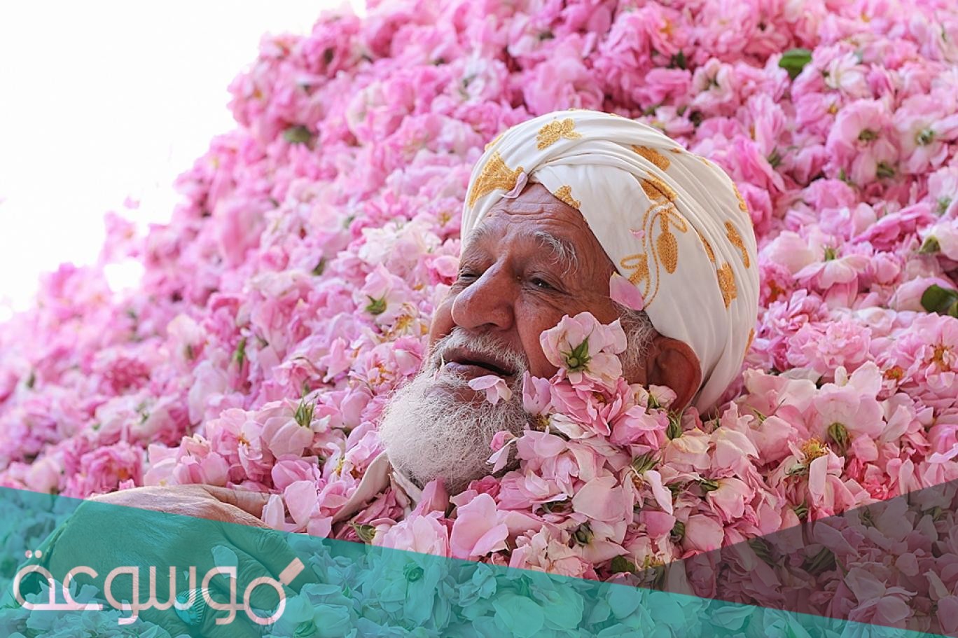 صور.. ازدهار مدينة الورود السعودية في شهر رمضان 2021