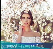 رواية عروس بلا ثمن