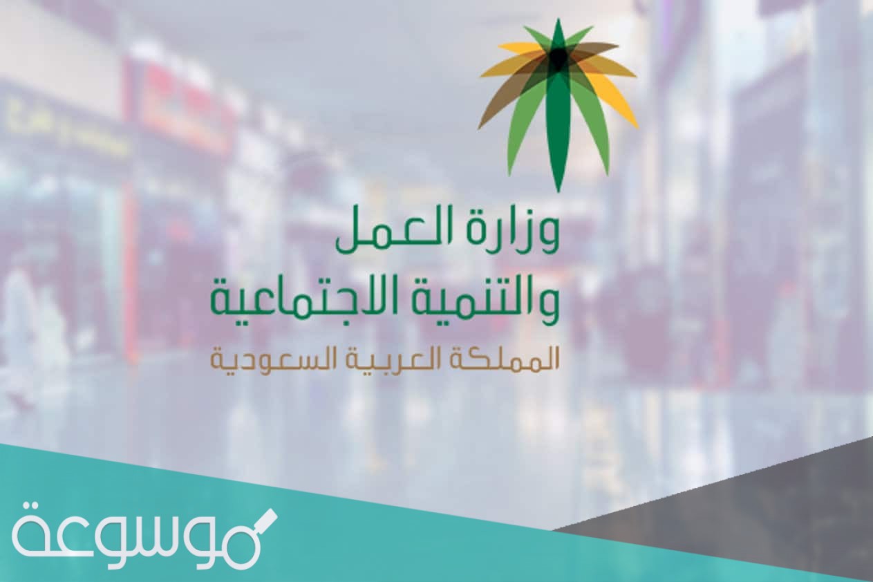 ما هي المادة 80 من نظام العمل السعودي