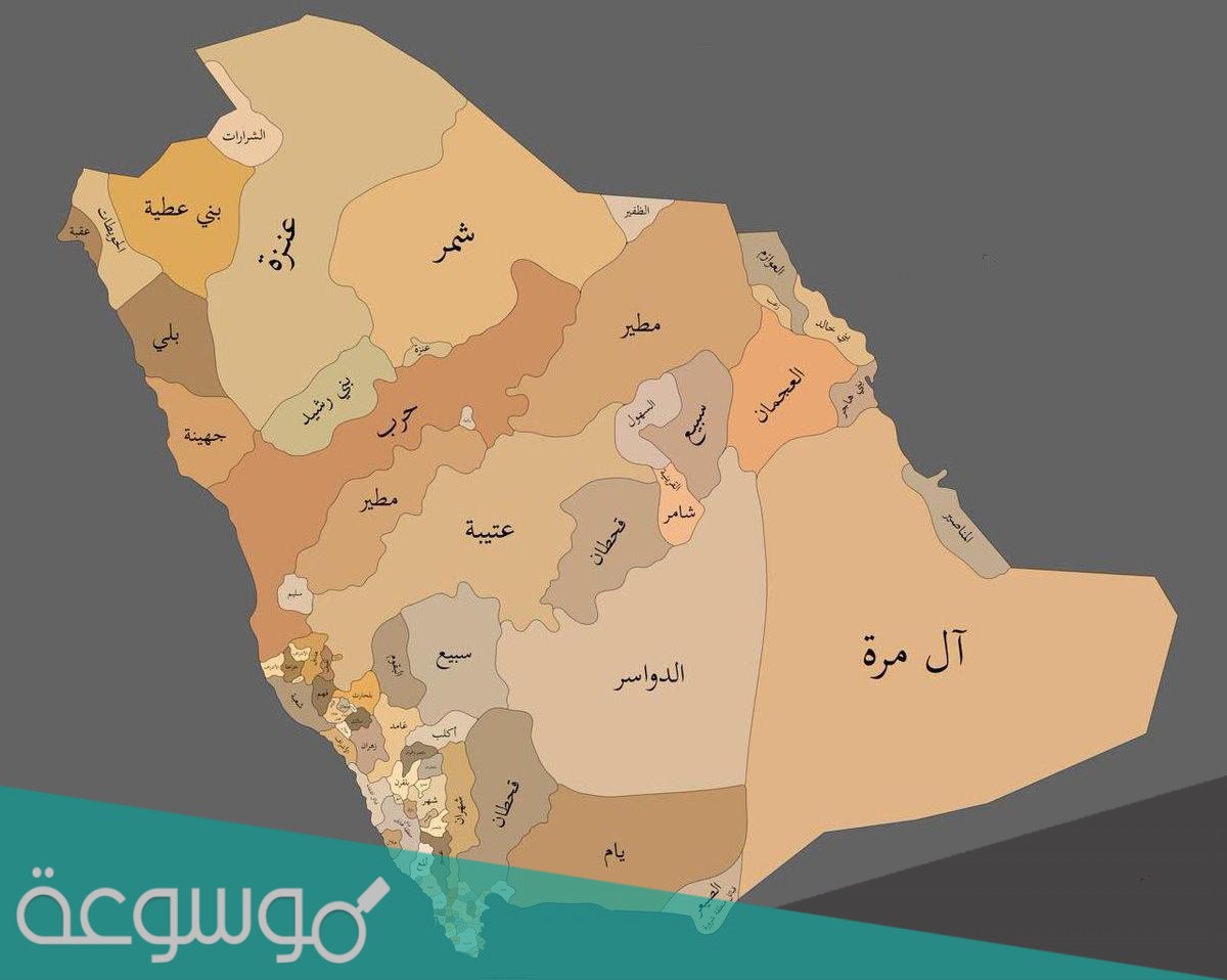 الثميري وش يرجعون