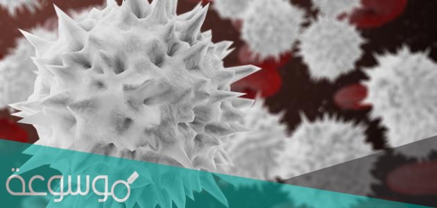 كريات الدم البيضاء