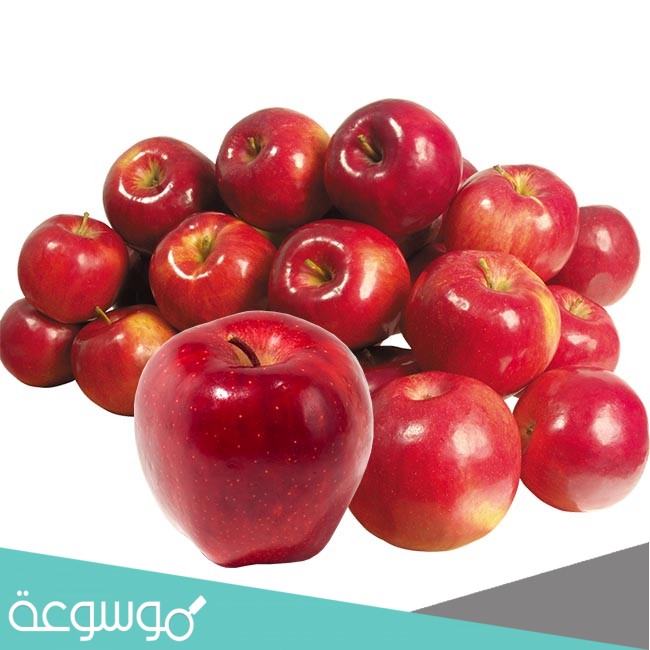 كم عدد السعرات الحرارية في التفاحة؟