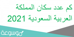 كم عدد سكان المملكة العربية السعودية 2022