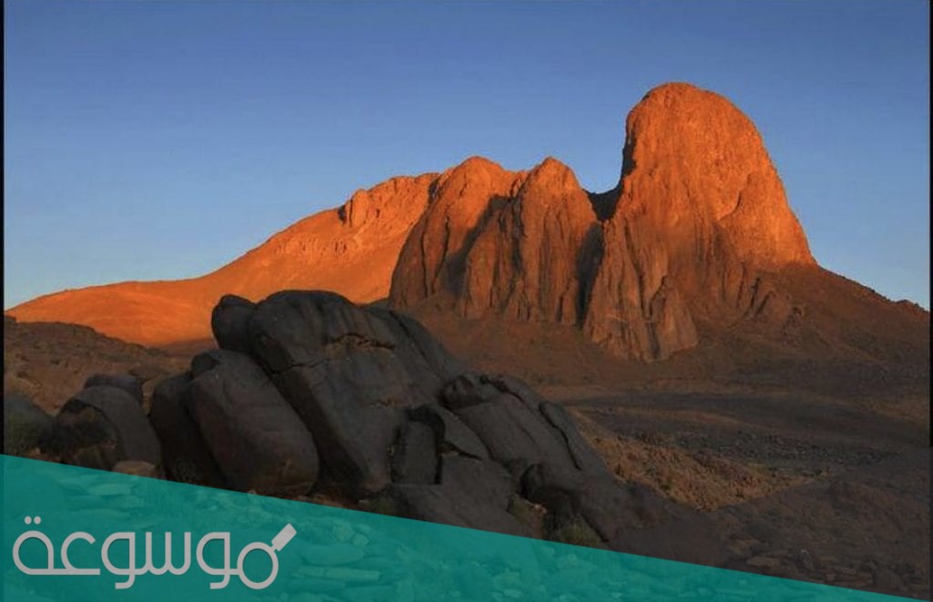 ماهي اعلى قمة في الجزائر