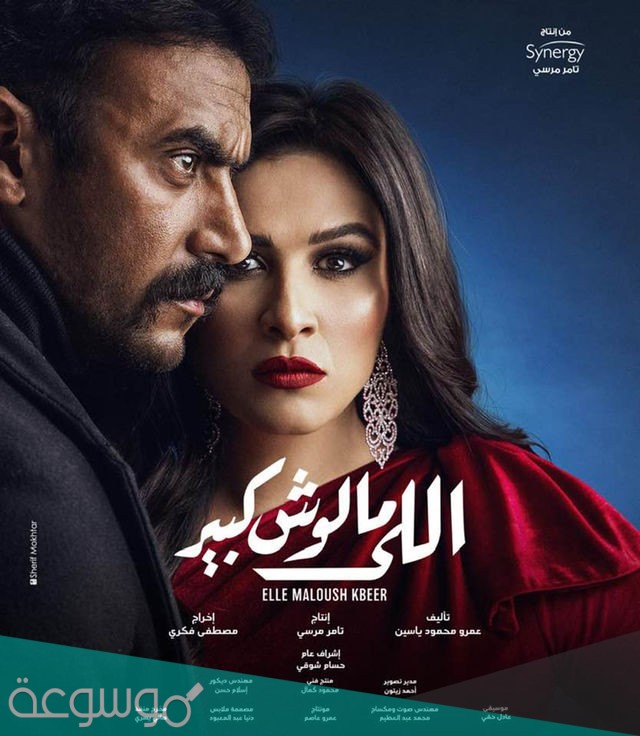 مسلسل ياسمين عبد العزيز وأحمد العوضي