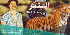 قصة مسلسل النمر محمد امام ويكيبيديا