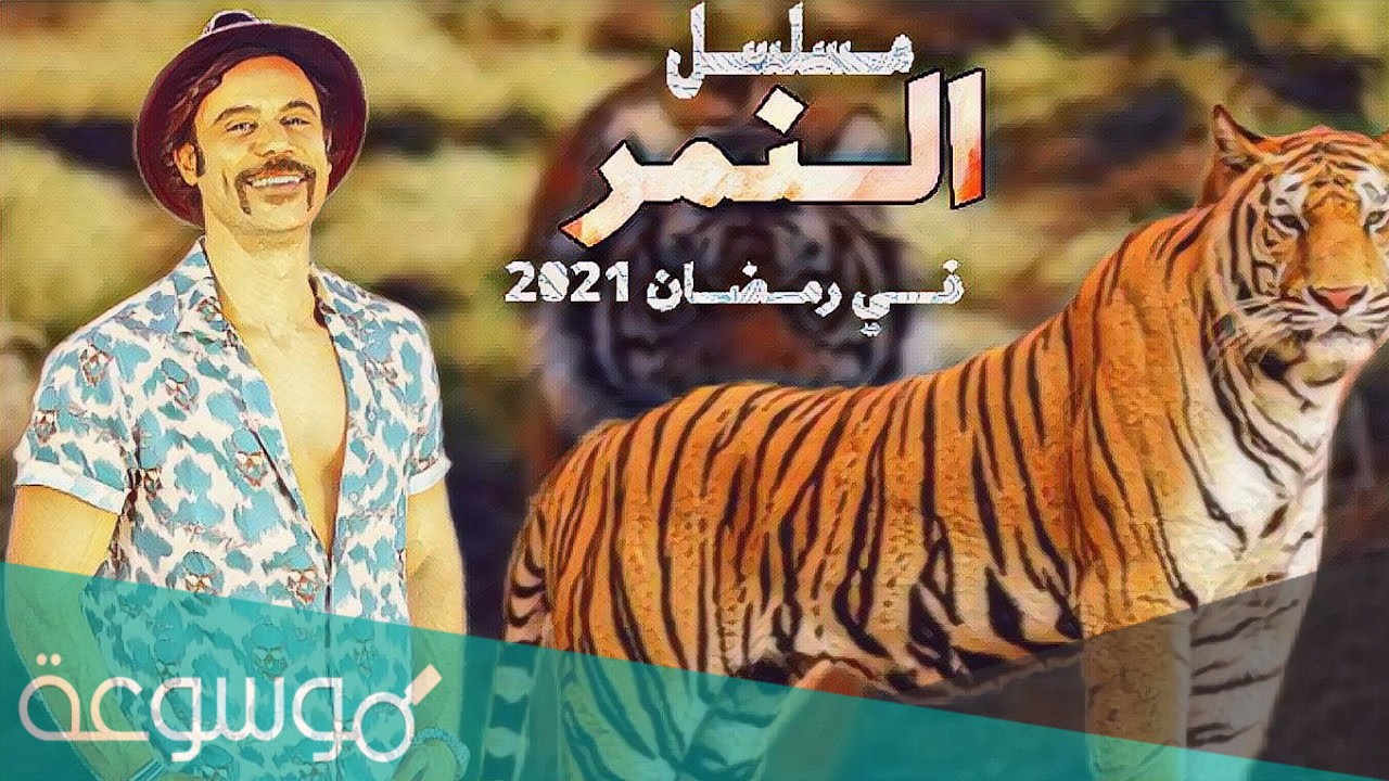قصة مسلسل النمر محمد امام ويكيبيديا