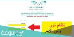 رابط شهادات الطلاب برقم الهوية 1442 نظام نور