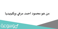 من هو محمود احمد مرعي ويكيبيديا