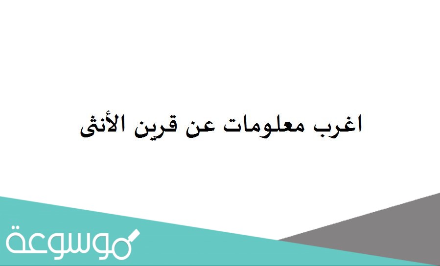 اغرب معلومات عن قرين الأنثى