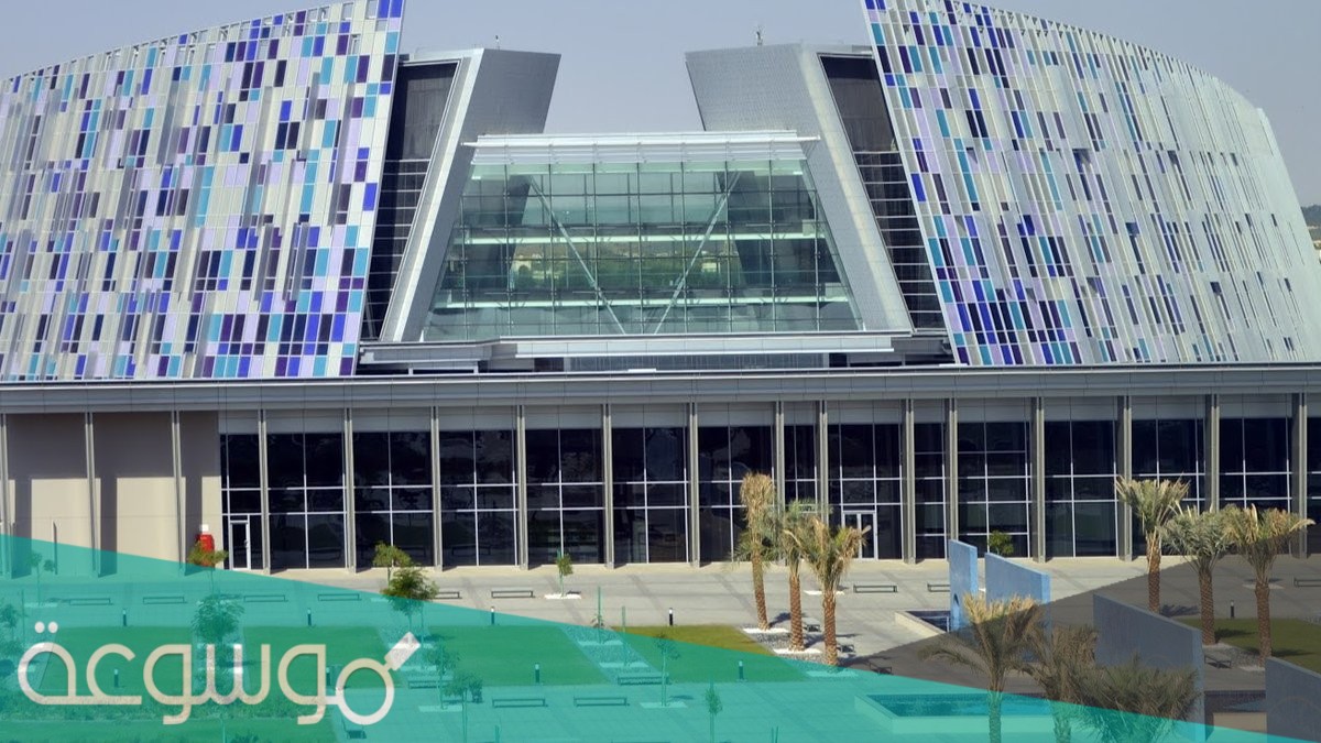 ماهي اول جامعة في دولة الامارات