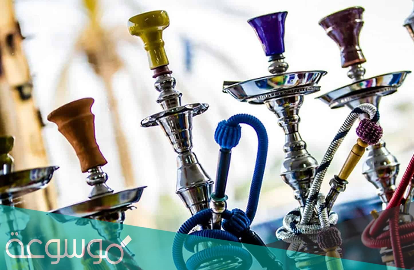 ما هي حقيقة عودة الشيشة في السعودية