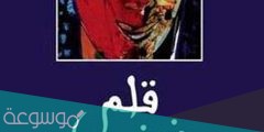 من هو كاتب رواية قلم زينب