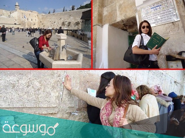 من هي غزلان الطيبي