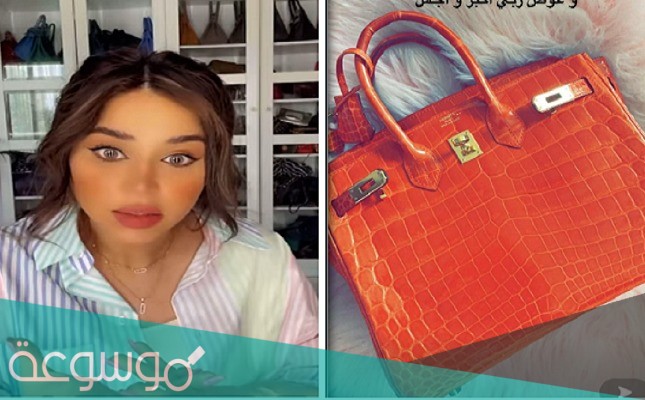 تفاصيل سرقة شنطة نهي نبيل