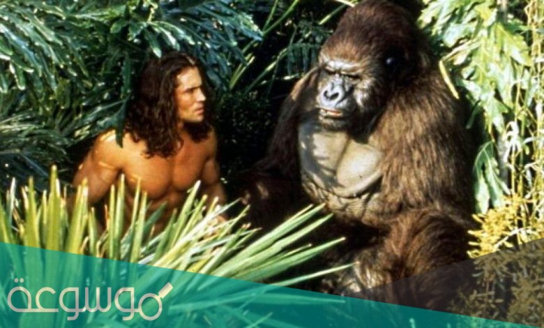 الممثل جو لارا