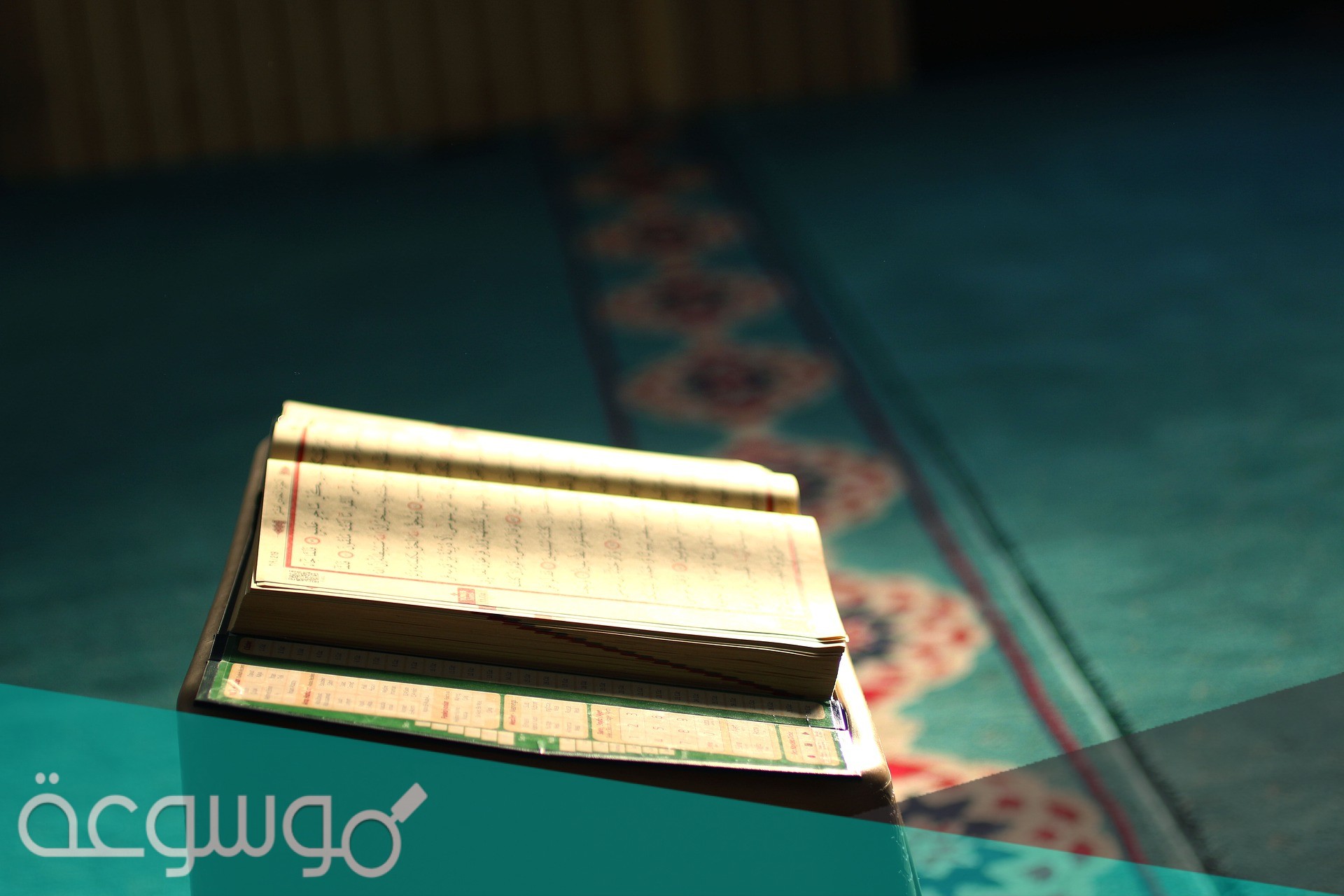 السوره التي لم يذكر فيها حرف الراء