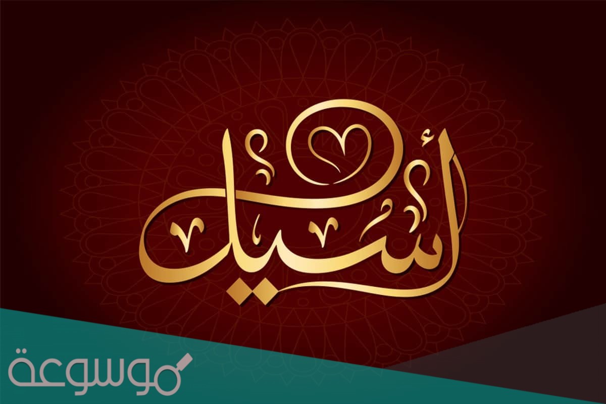 معنى اسم أسيل في القران الكريم